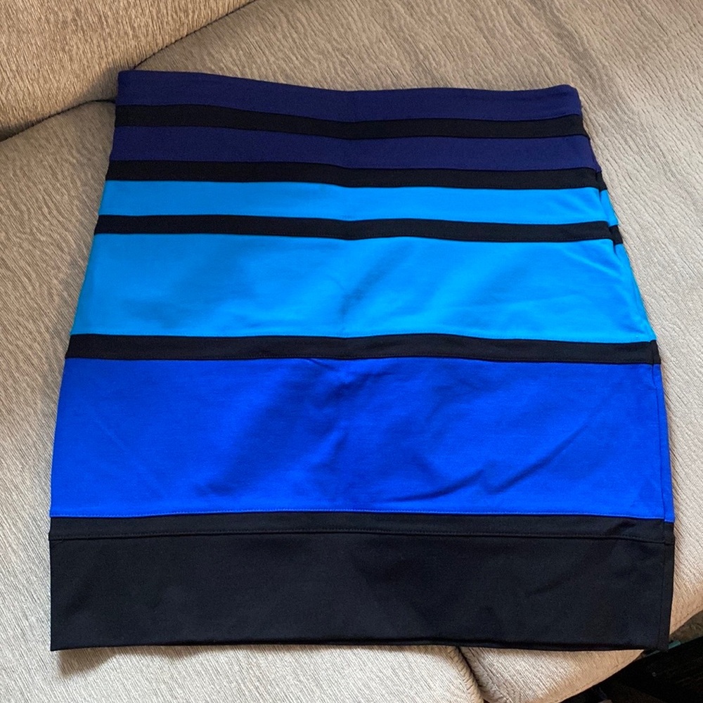 EXPRESS Skirt